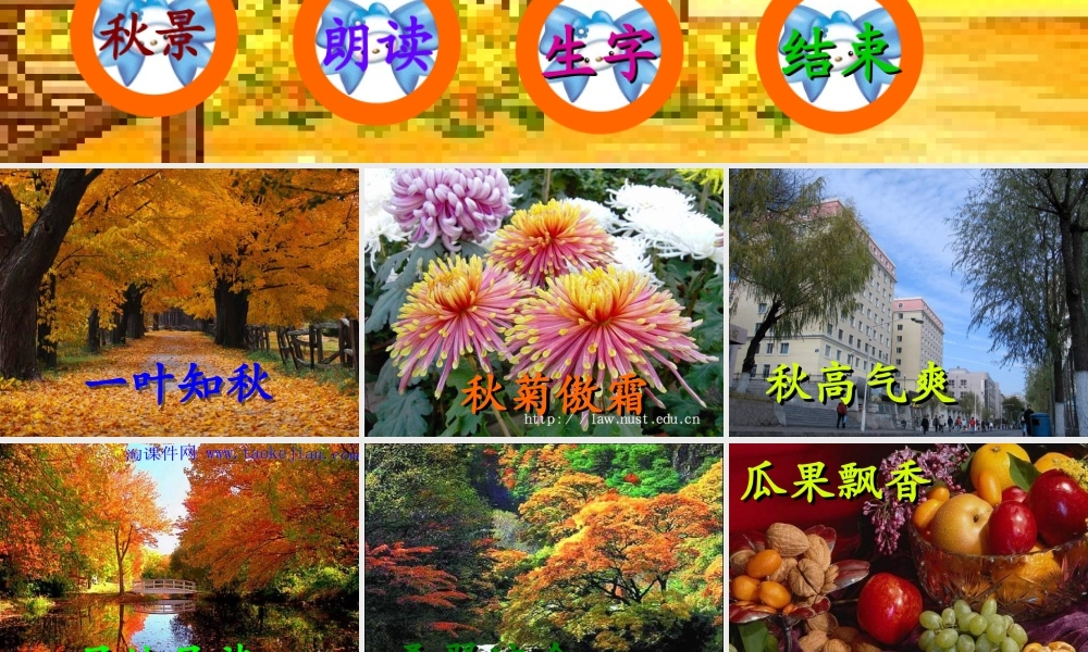 《秋天的图画》_PPT_课件__-_人教二年级上册