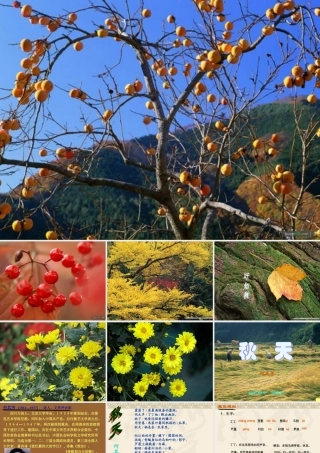 《秋天》的演示文稿