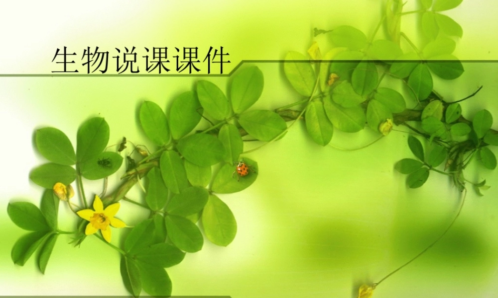 动物的运动说课稿