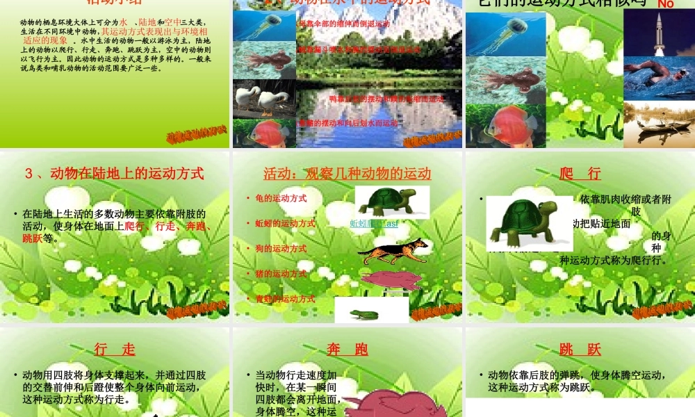 动物的运动说课稿