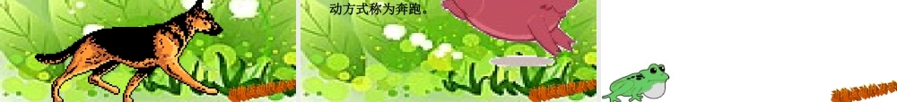 动物的运动说课稿