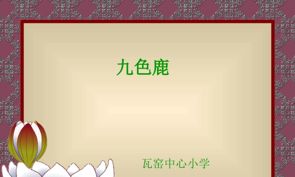 九色鹿PPT课件