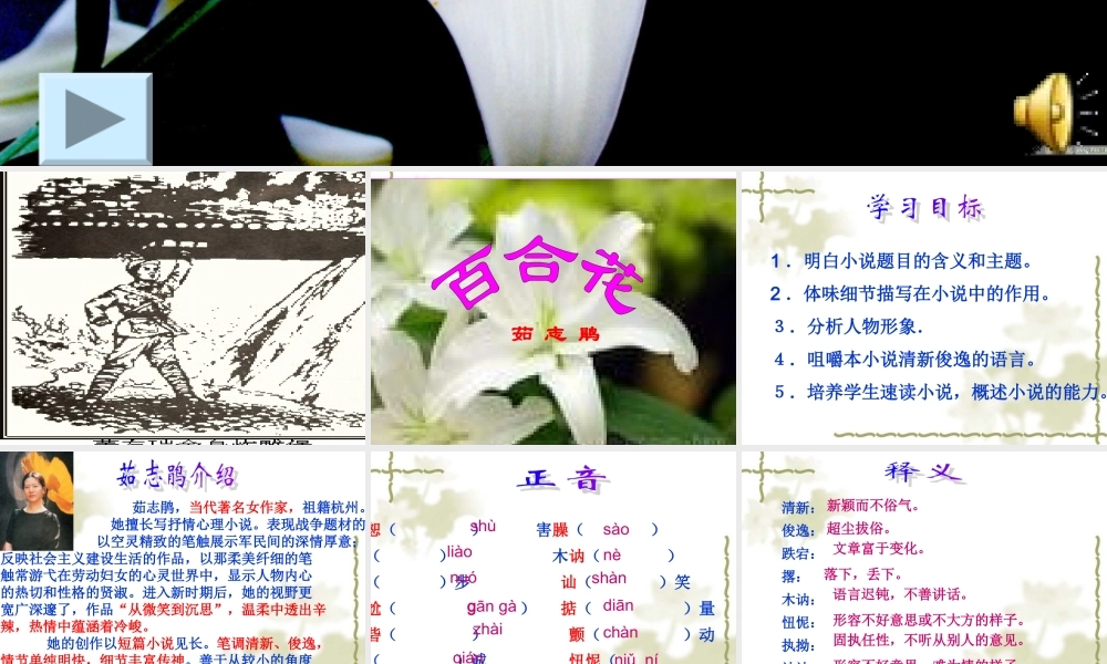 《百合花》课件