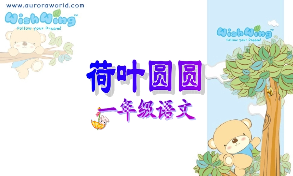 荷叶圆圆 (6)