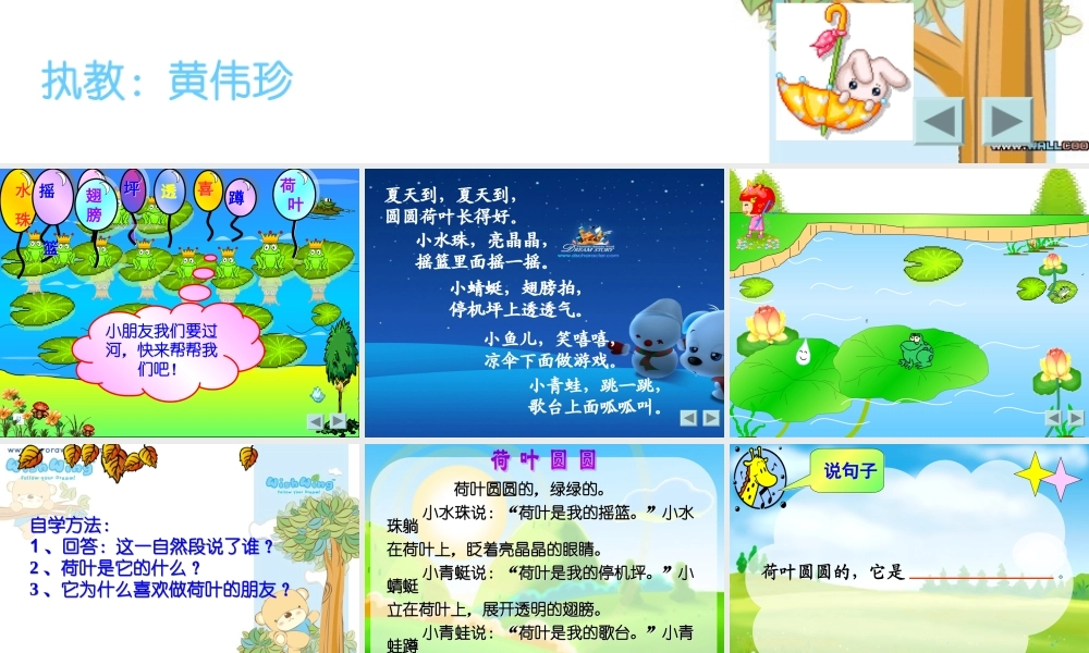 荷叶圆圆 (6)
