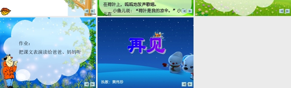 荷叶圆圆 (6)