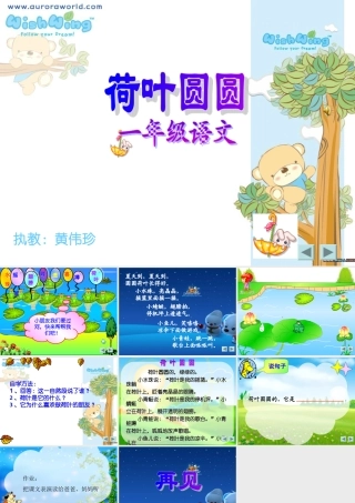 荷叶圆圆 (6)