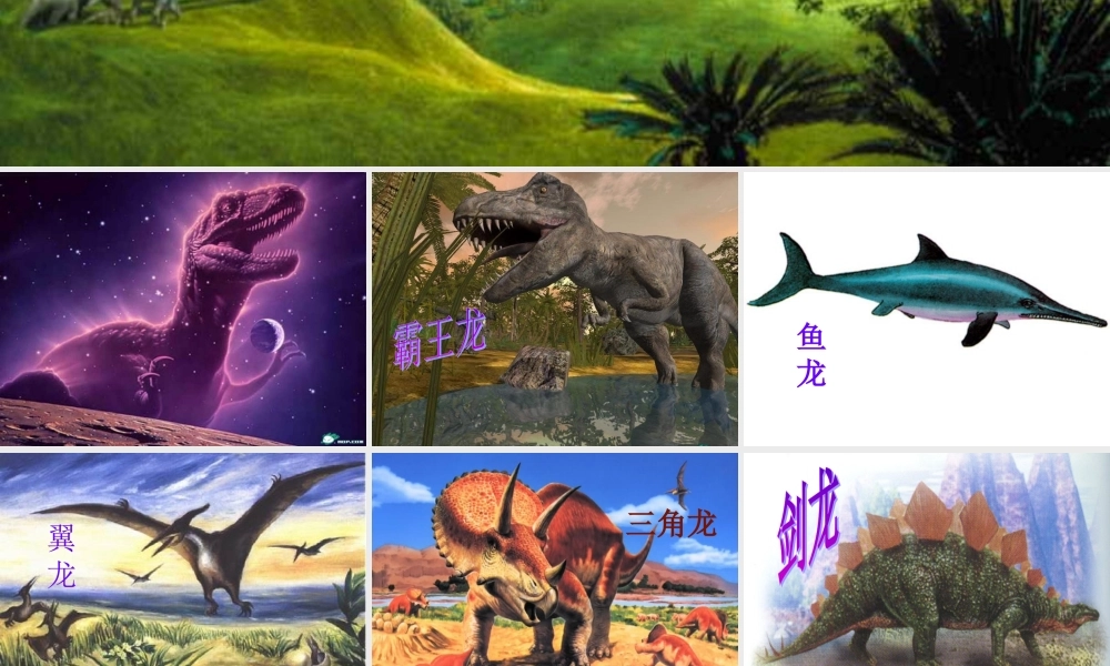 飞向蓝天的恐龙__