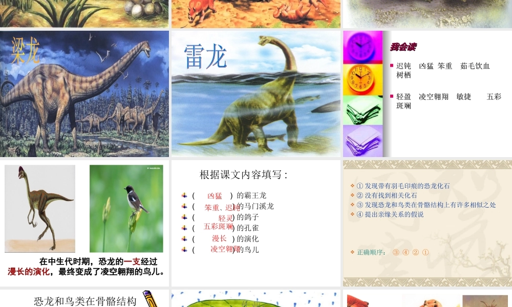 飞向蓝天的恐龙__