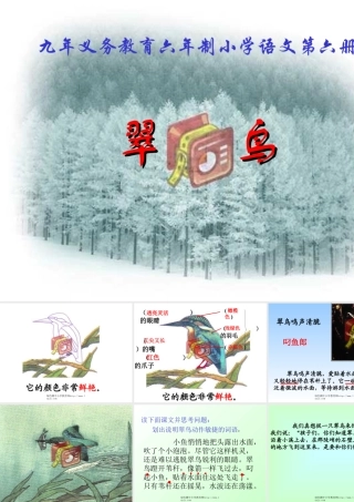 人教版三年级语文下册《翠鸟》课件PPT