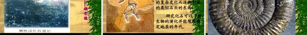 《化石吟》课件