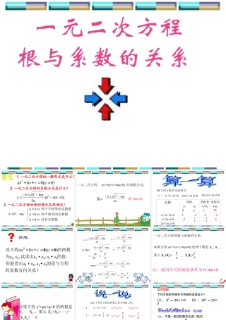 一元二次方程根与系数的关系(1)