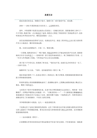 真爱无言 (2)