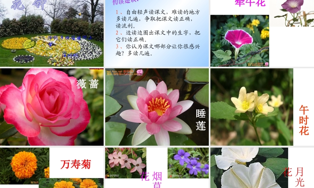 《花钟》课件 (2)
