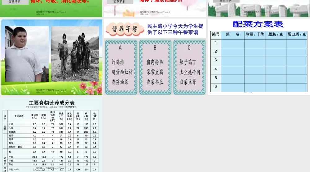 《营养午餐》PPT课件