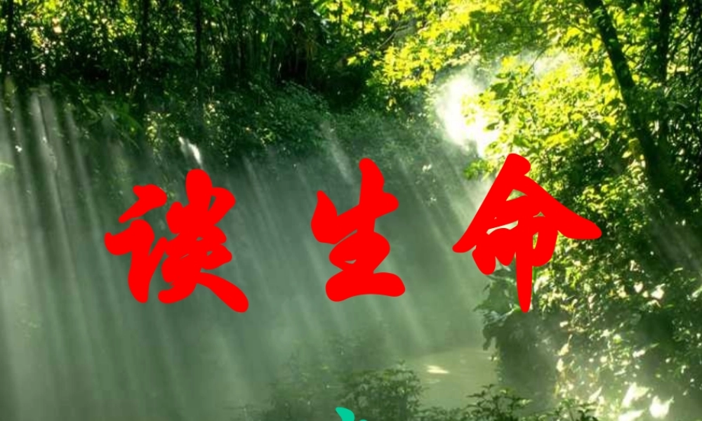 谈生命----hmc_8161(1)
