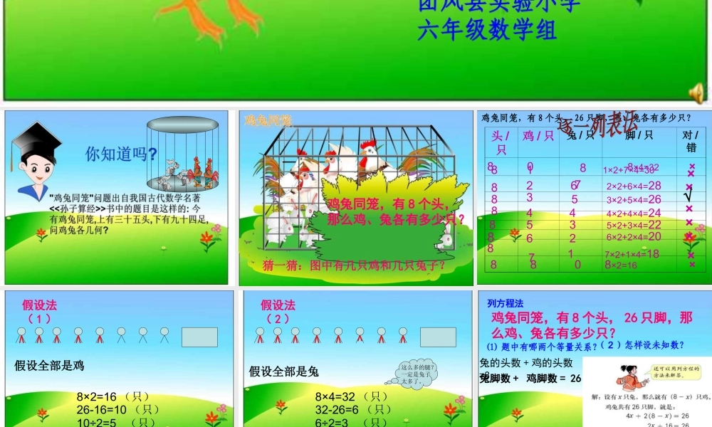 六年级数学鸡兔同笼课件