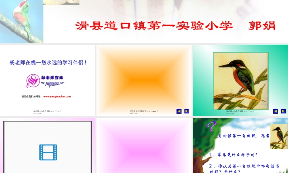 新课标人教版第六册语文翠鸟优秀课件下载