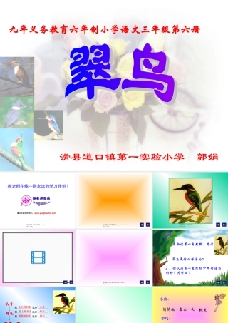 新课标人教版第六册语文翠鸟优秀课件下载