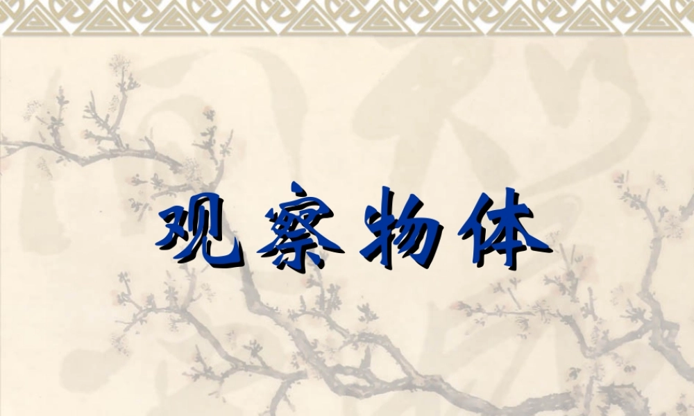 新课标人教版第九册数学观察物体优质课件下载