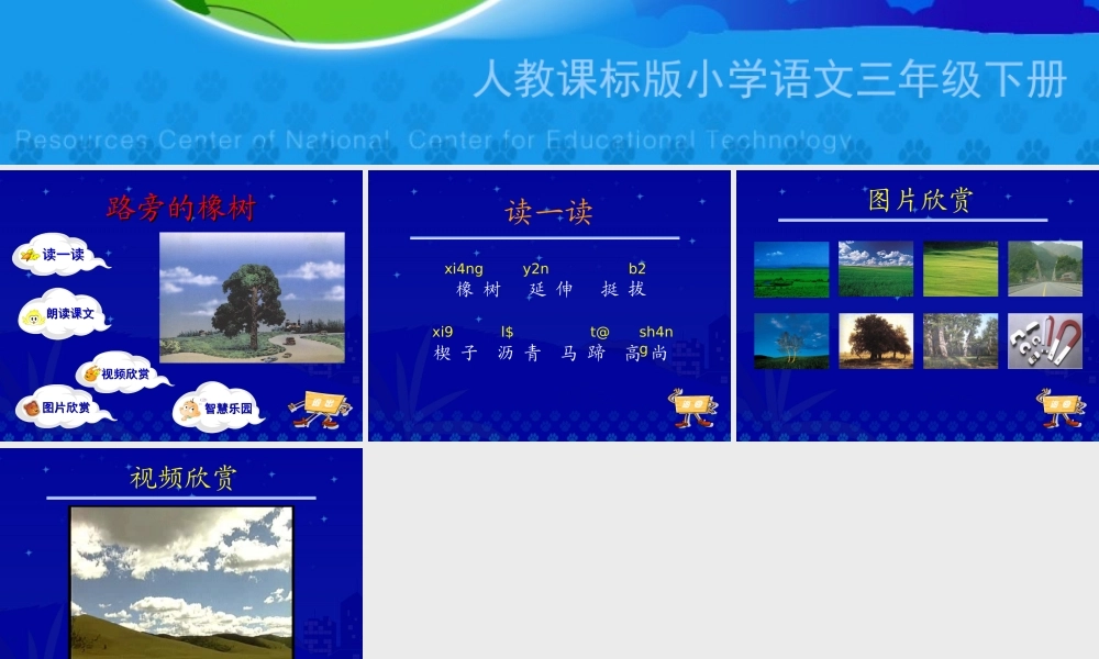 《路旁的橡树》教学演示课件
