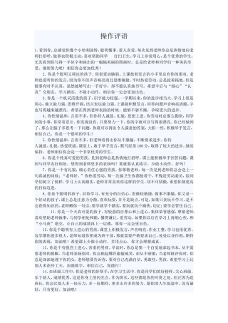 操作评语文档