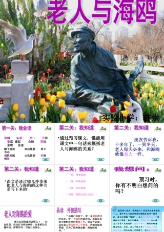 老人与海鸥优秀课件[1]