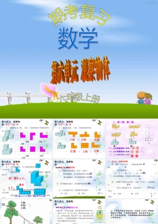 观察物体_常考题型练习