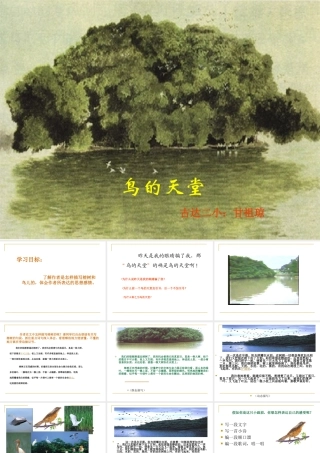 《鸟的天堂》[1]课件