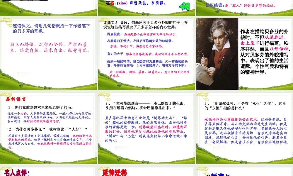 音乐巨人贝多芬 