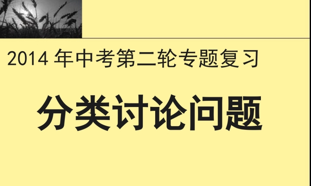 2013年中考数学专题复习