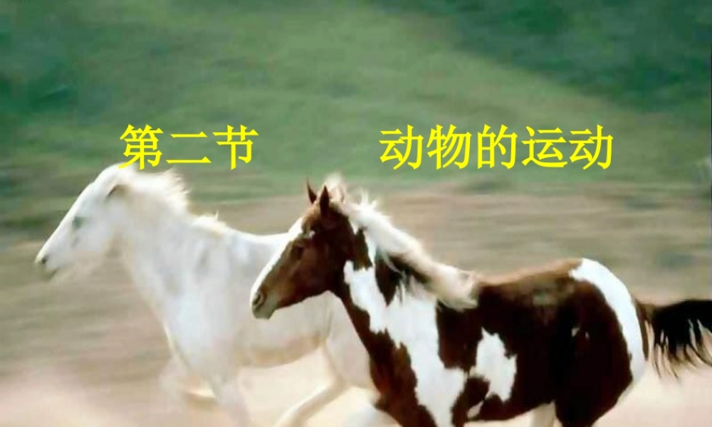 动物的运动 (2)