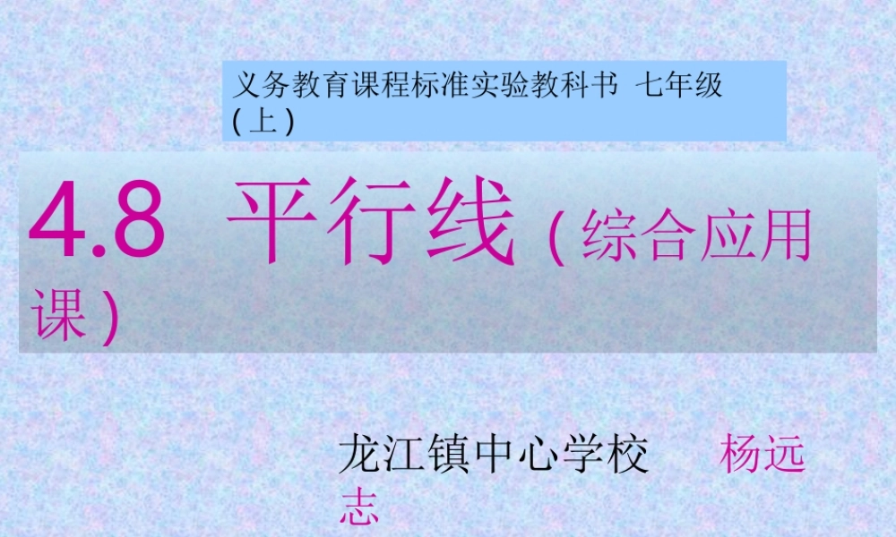 平行线综合课