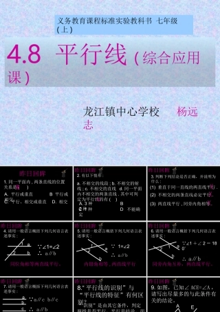 平行线综合课
