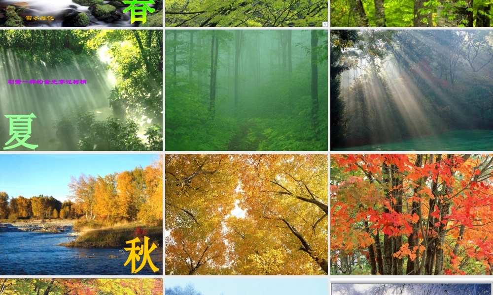 美丽的小兴安岭好PPT