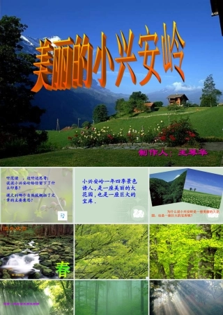 美丽的小兴安岭好PPT