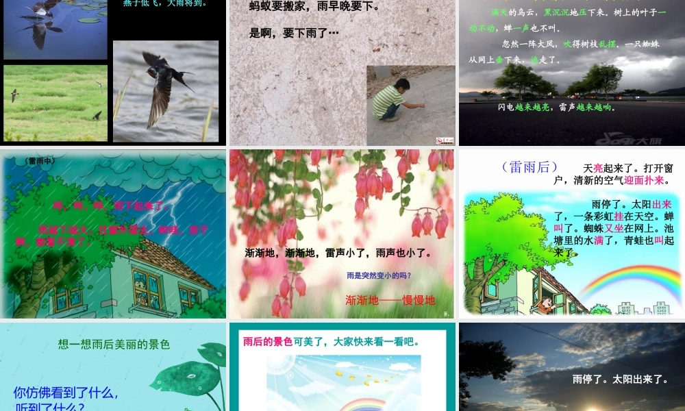 语文二年级《雷雨》PPT课件