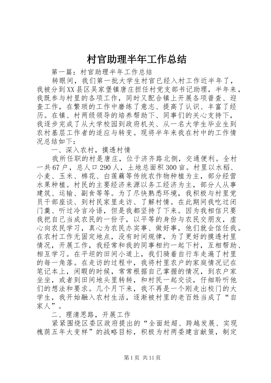 村官助理半年工作总结_第1页