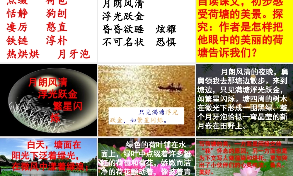 荷塘旧事第一、二课时