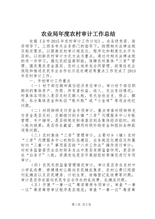 农业局年度农村审计工作总结