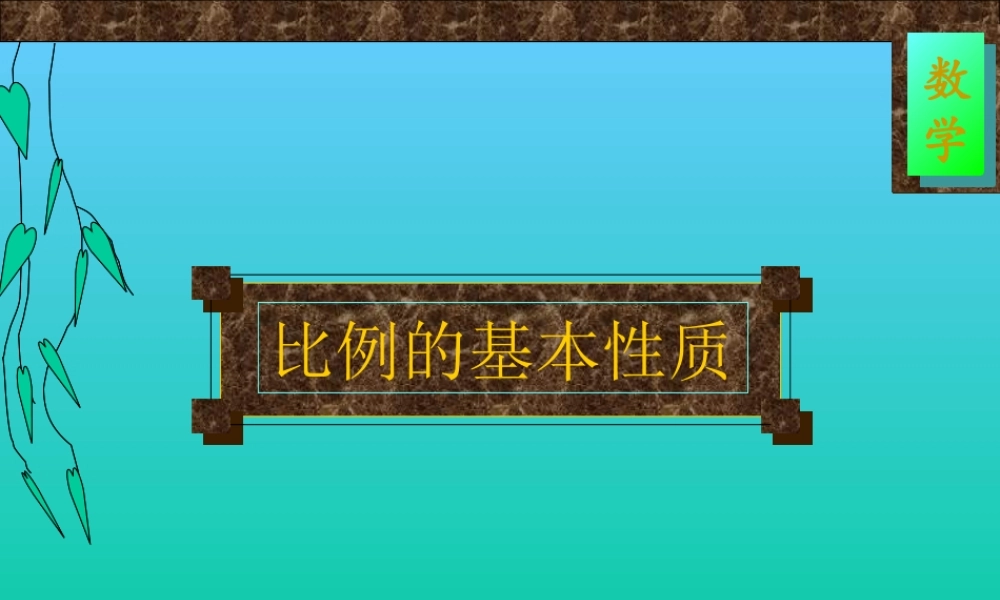 比例的基本性质[2005-7-5]