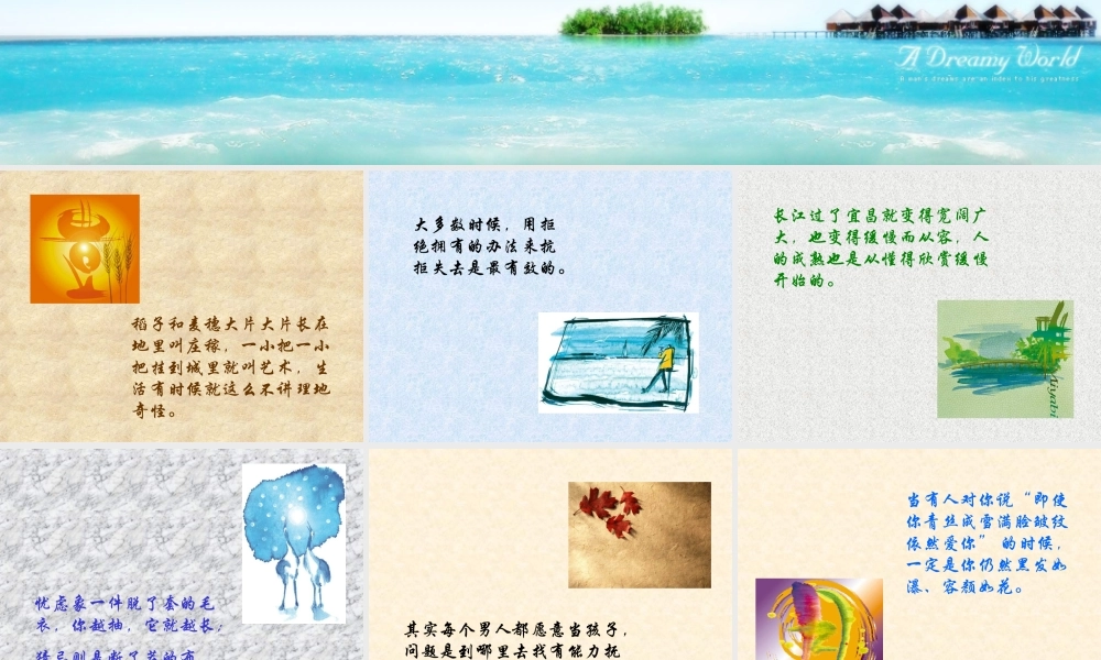 人生感悟精美【精品】