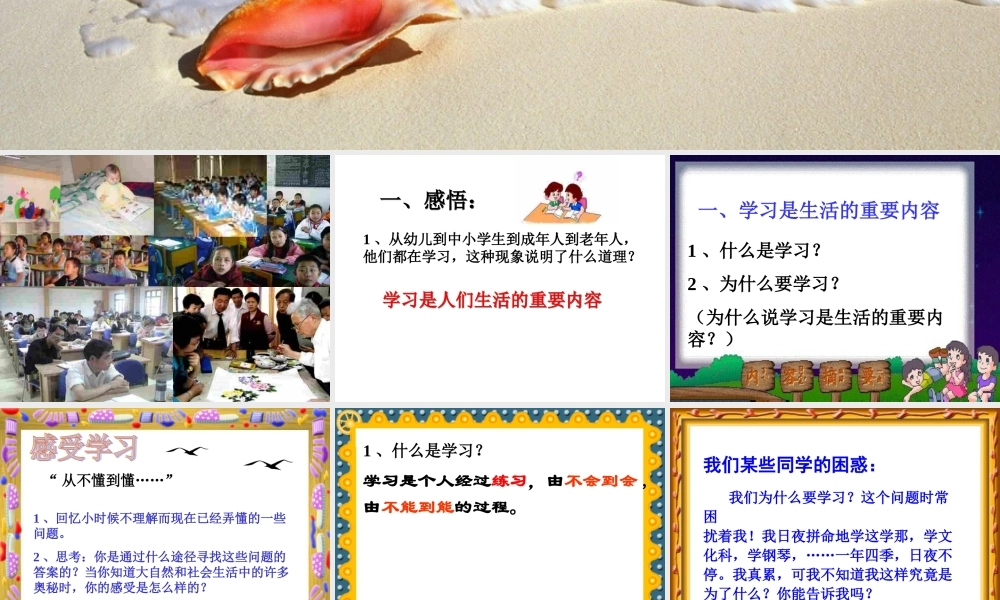 树立正确学习观念PPT
