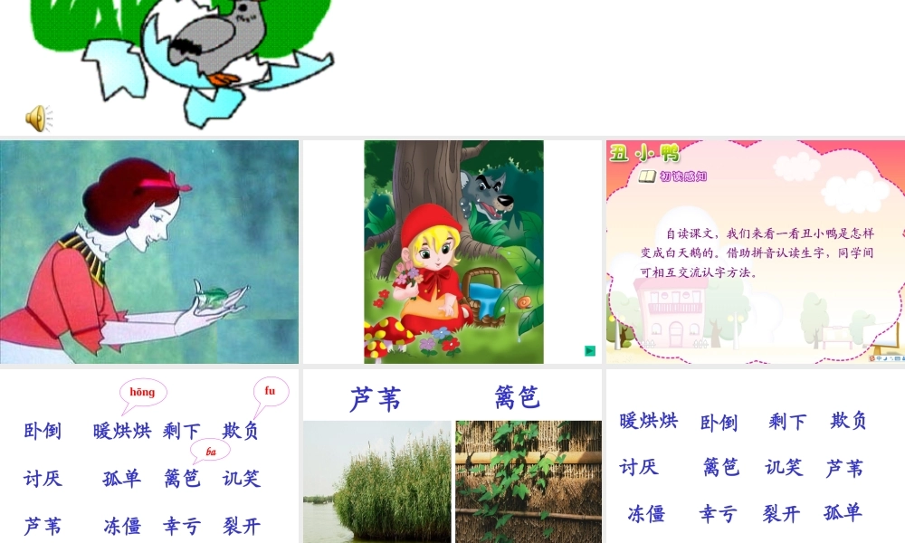 人教二年级下册《28、丑小鸭》