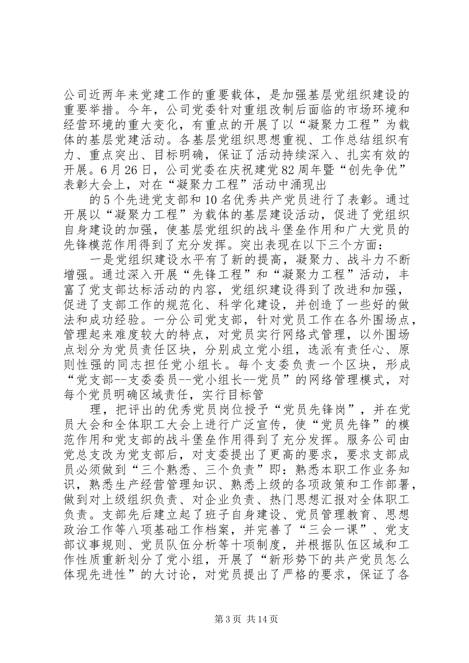 XX年公司党委书记工作总结_第3页