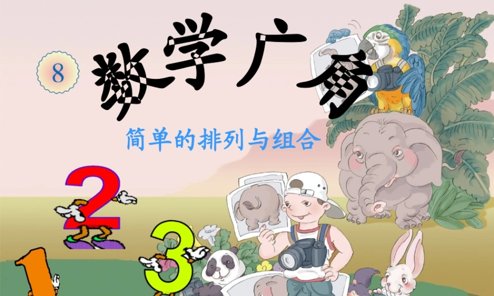 数学广角排列与组合