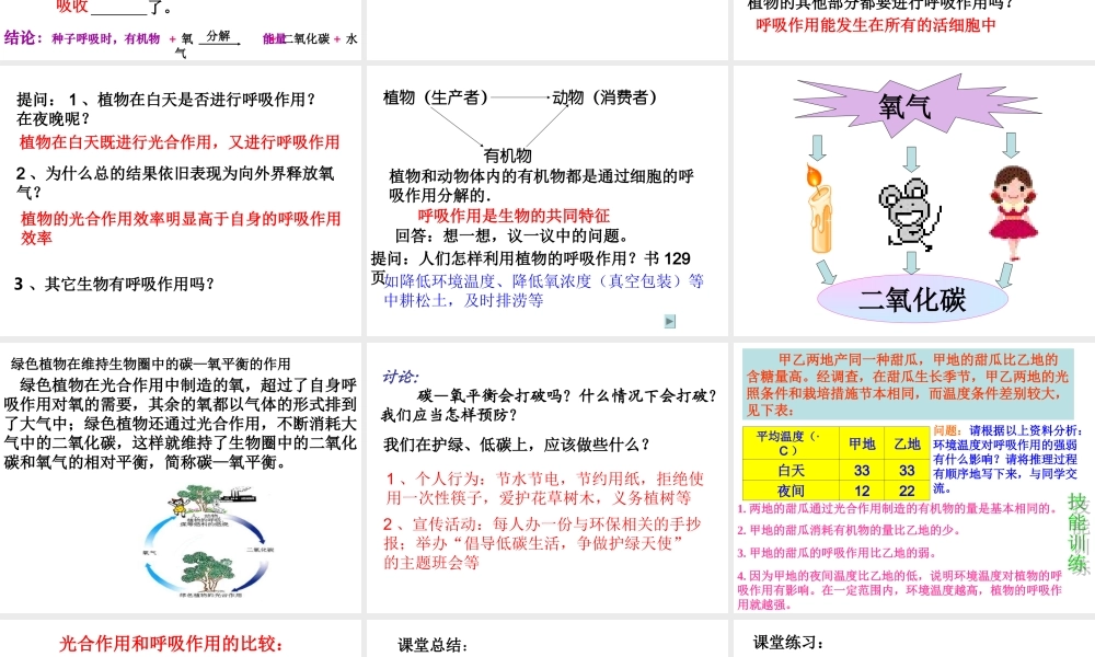 绿色植物的呼吸作用 (2)