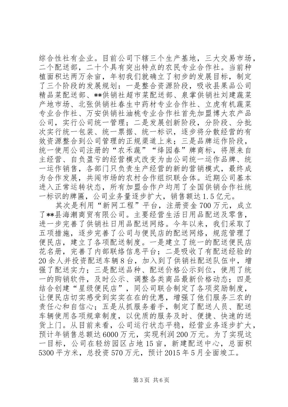 供销社XX年终工作总结_1_第3页