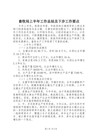 畜牧局上半年工作总结及下步工作要点_1