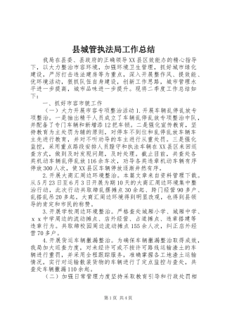 县城管执法局工作总结